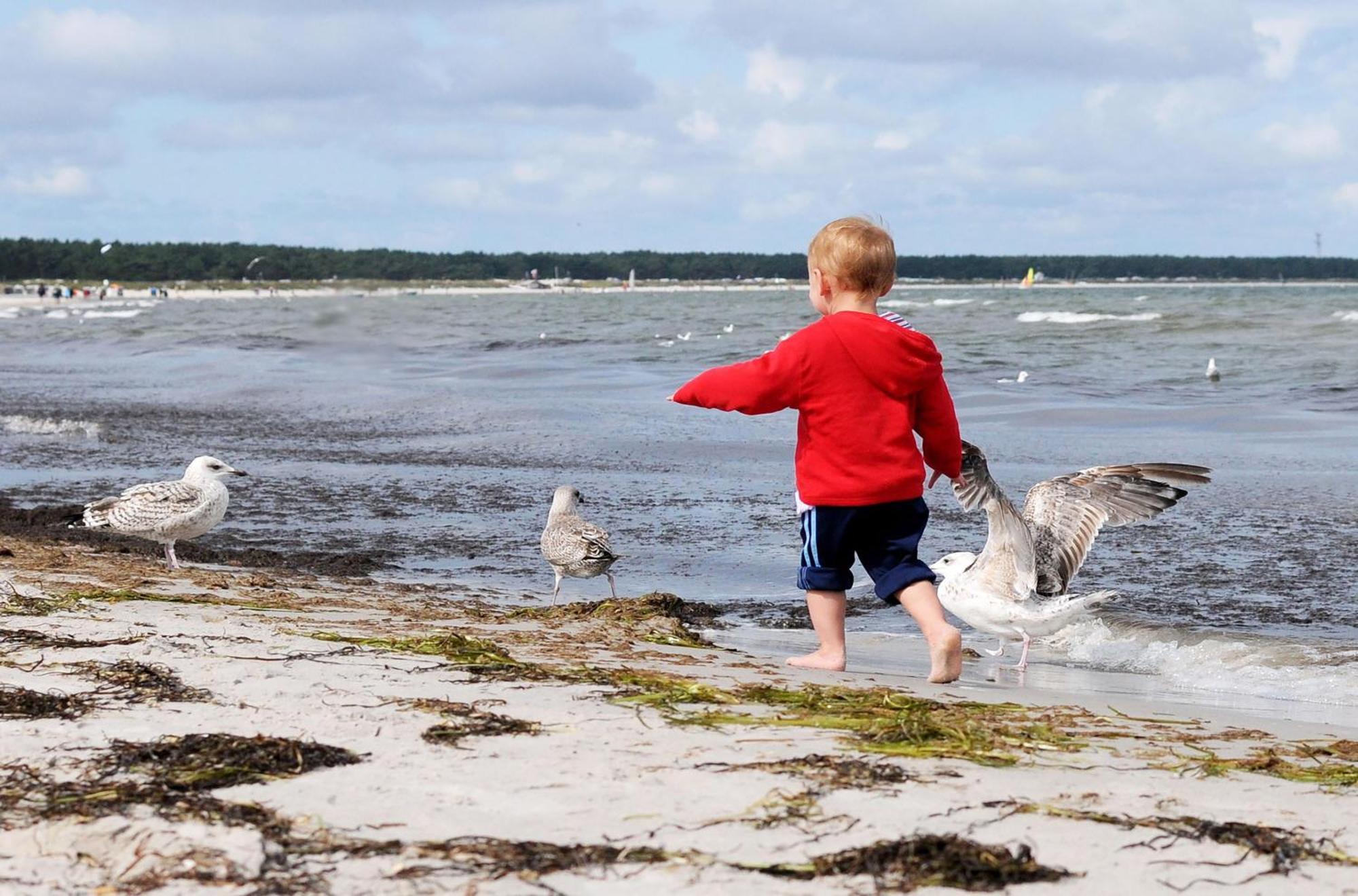 Kleine Freiheit An Der Seebruecke Zingst Extérieur photo